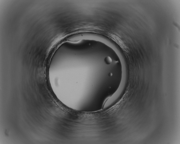 X0000091461164200709131728