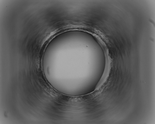 X0000091461165200709131728