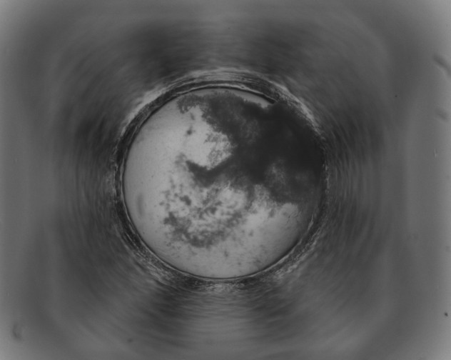 X0000091461166200709131728