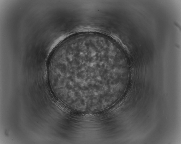 X0000091461167200709131728