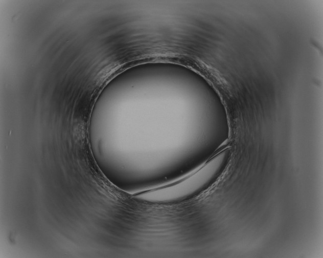 X0000091461169200709131728