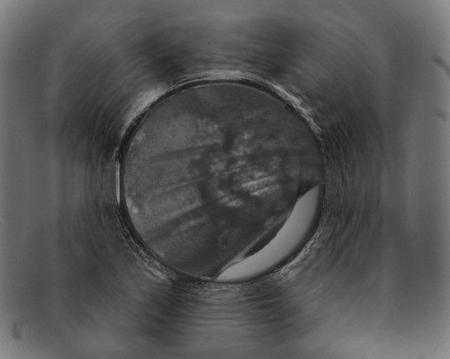 X0000091461171200709131728