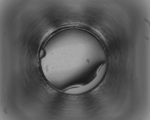 X0000091461172200709131728