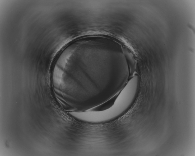X0000091461173200709131728