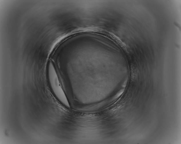 X0000091461174200709131728