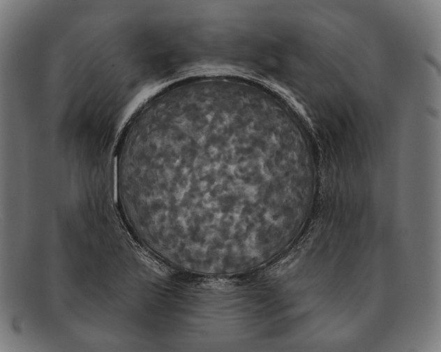 X0000091461175200709131728