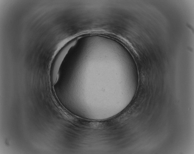 X0000091461176200709131728