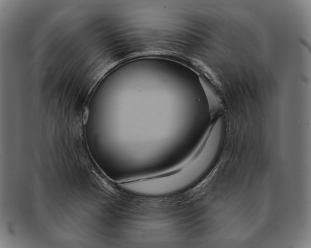X0000091461177200709131728