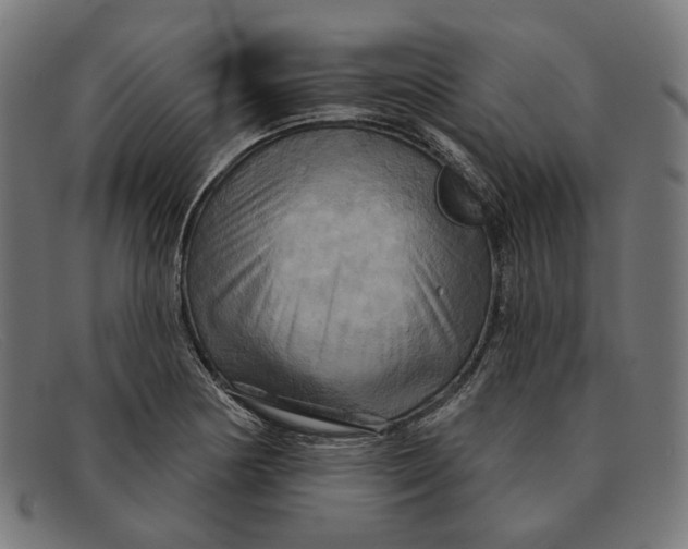 X0000091461178200709131728