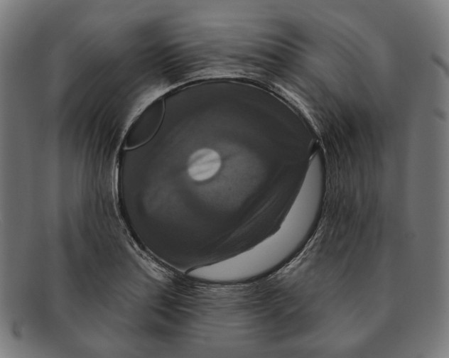 X0000091461179200709131728