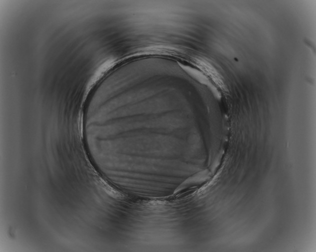 X0000091461180200709131728