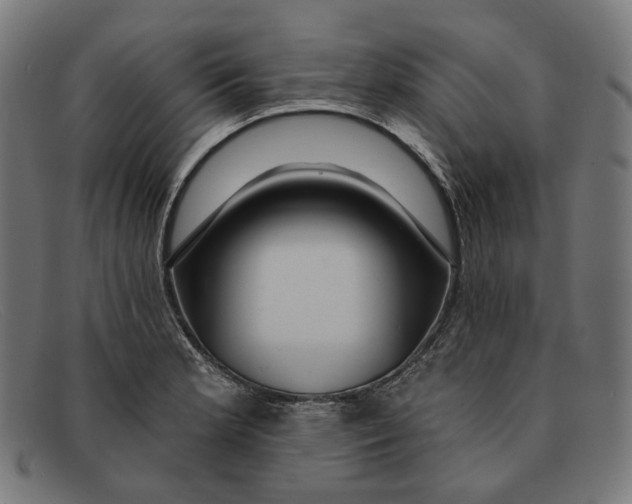 X0000091461181200709131728