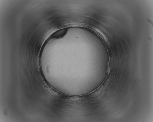X0000091461182200709131728