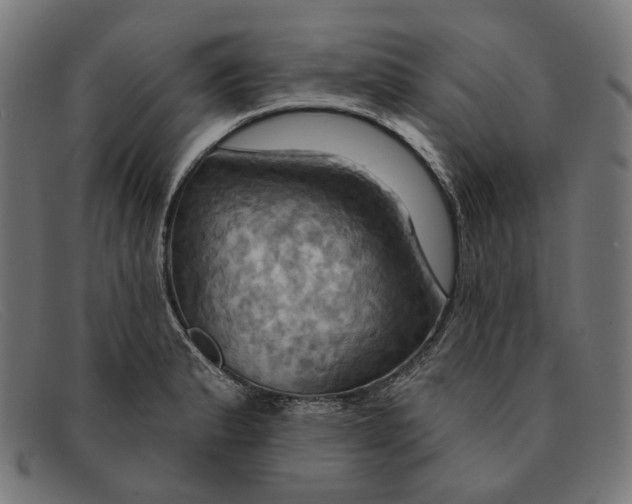 X0000091461183200709131728