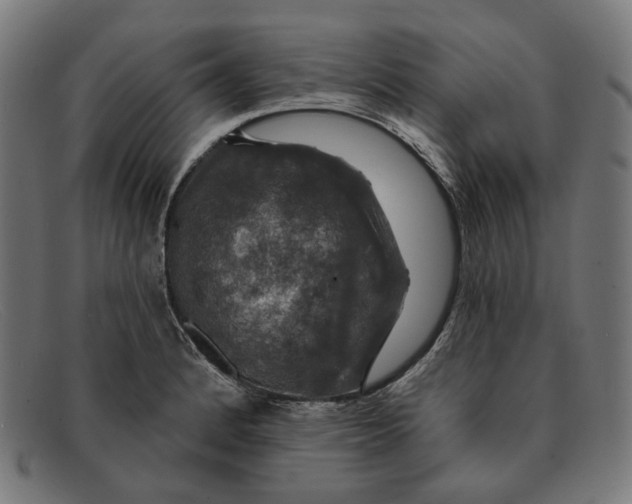 X0000091461184200709131728