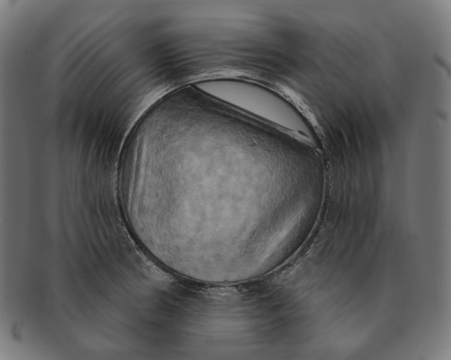 X0000091461186200709131728