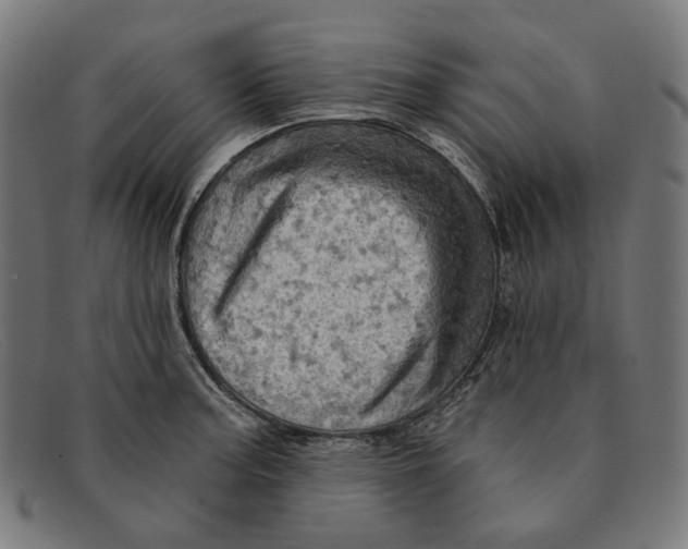 X0000091461187200709131728
