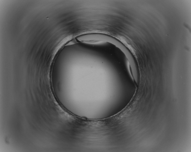 X0000091461189200709131728