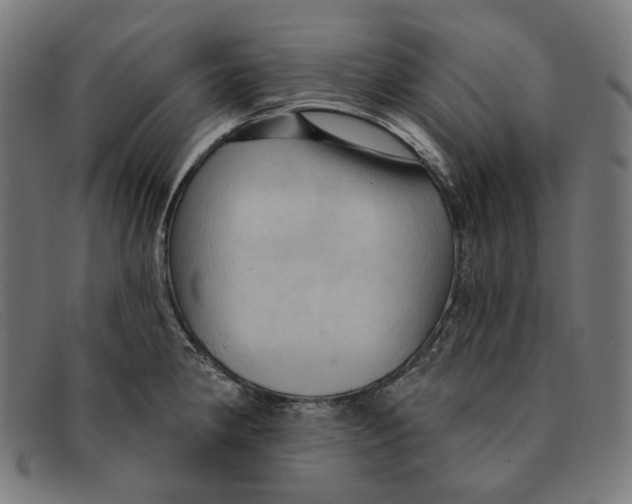 X0000091461190200709131728