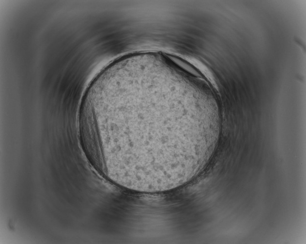 X0000091461191200709131728