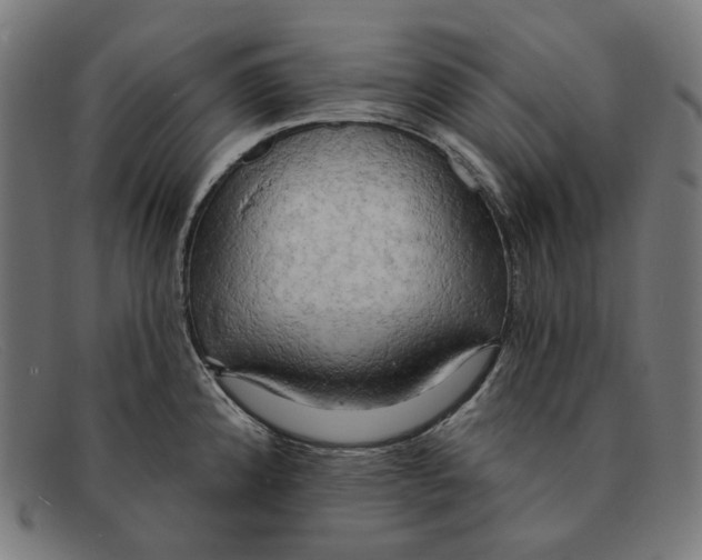 X0000091461192200709131728