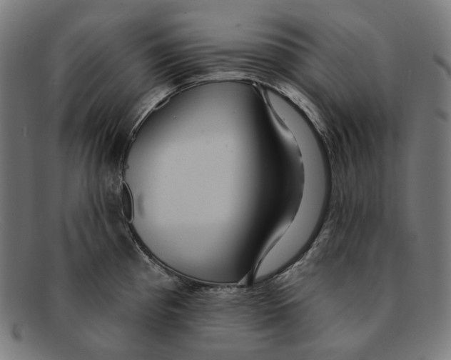 X0000091461193200709131728