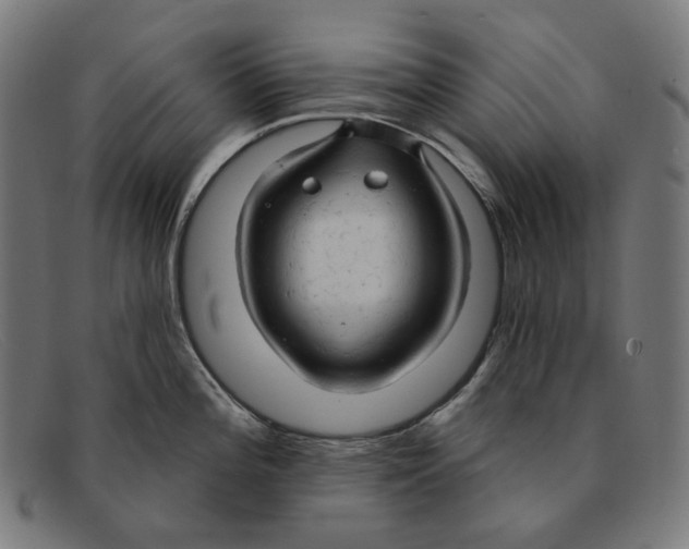 X0000091461196200709131728