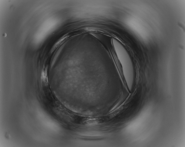 X0000091461198200709131728