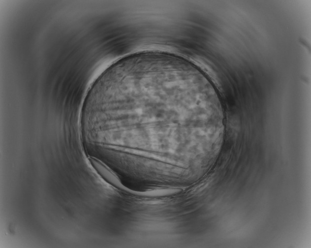 X0000091461199200709131728