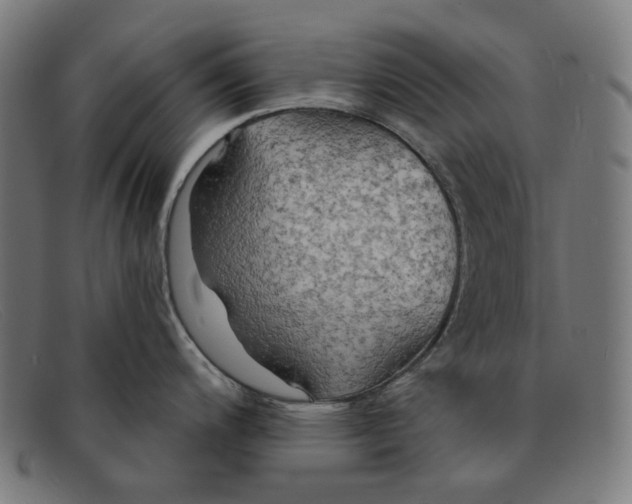 X0000091461200200709131728