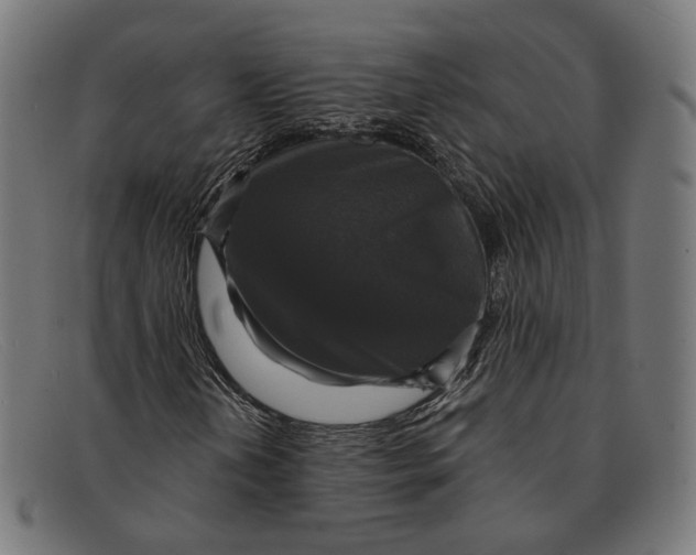 X0000091461202200709131727