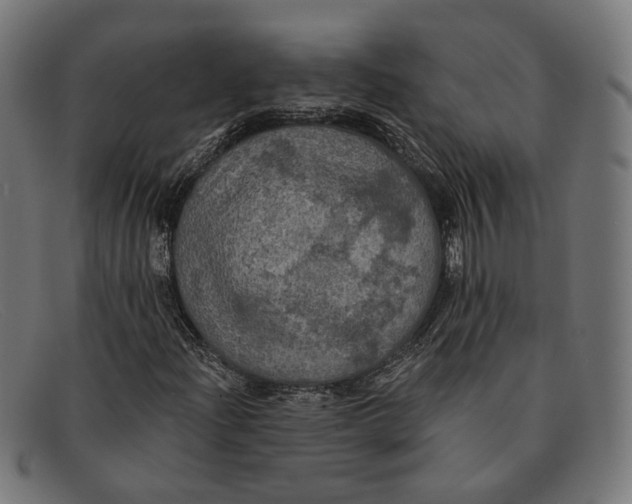 X0000091461204200709131727