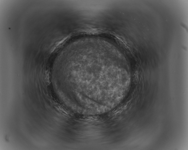 X0000091461205200709131727