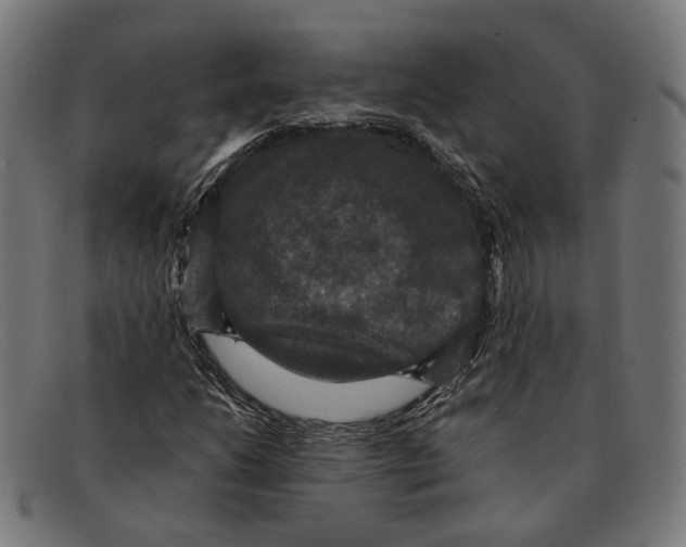 X0000091461206200709131727