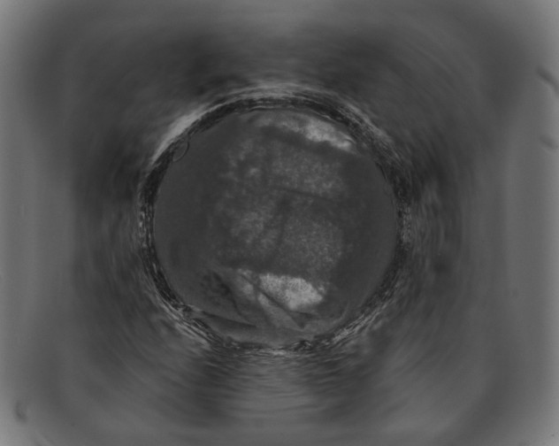 X0000091461208200709131727