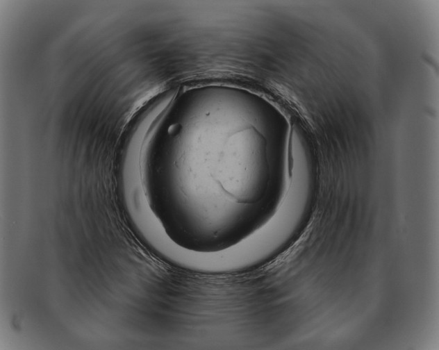 X0000091461210200709131727