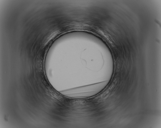 X0000091461211200709131727