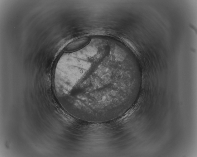 X0000091461212200709131727