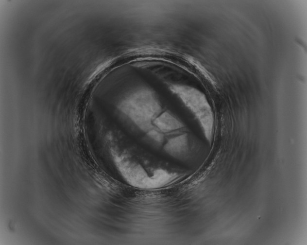 X0000091461213200709131727