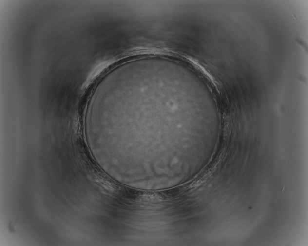 X0000091461215200709131727