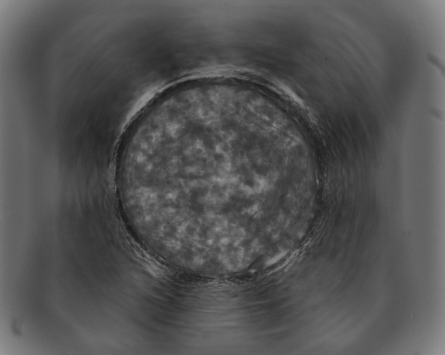 X0000091461216200709131727