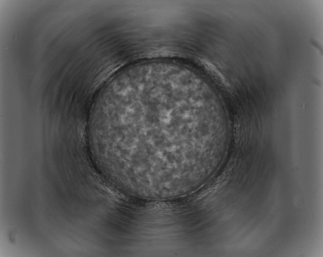 X0000091461217200709131727