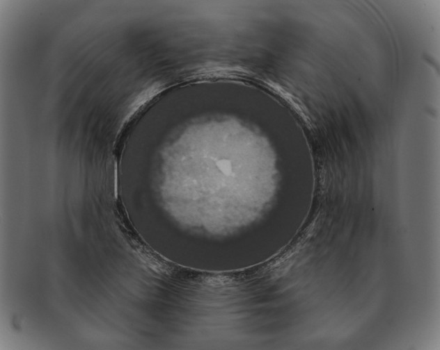 X0000091461219200709131727