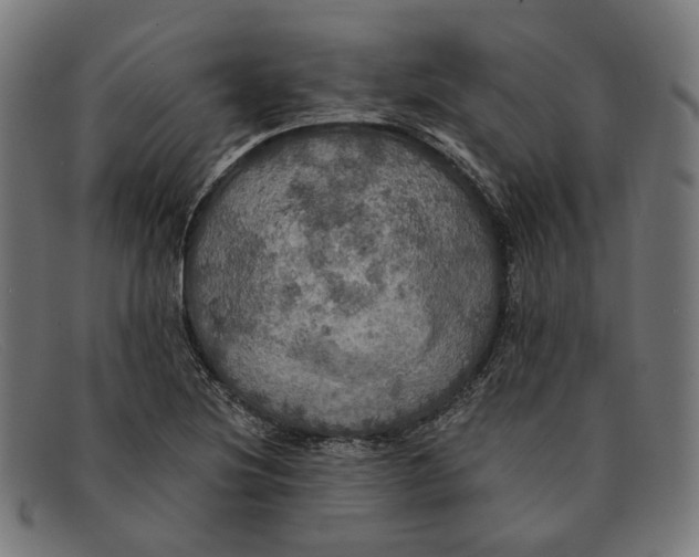 X0000091461220200709131727