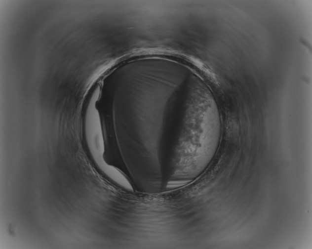 X0000091461221200709131727