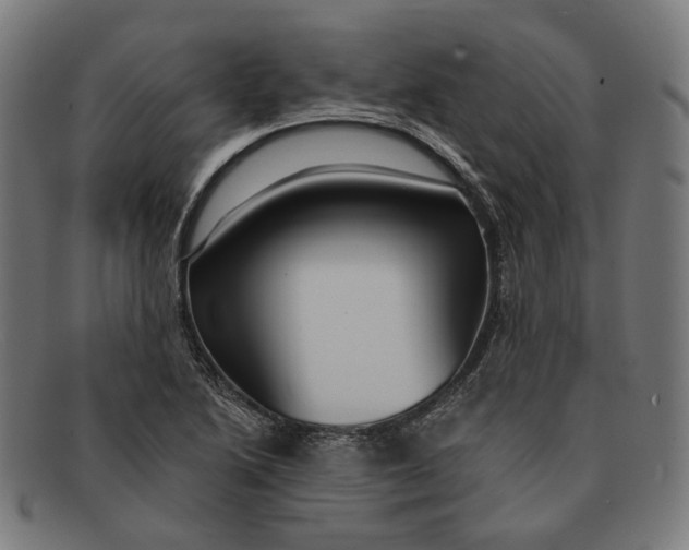 X0000091461222200709131727