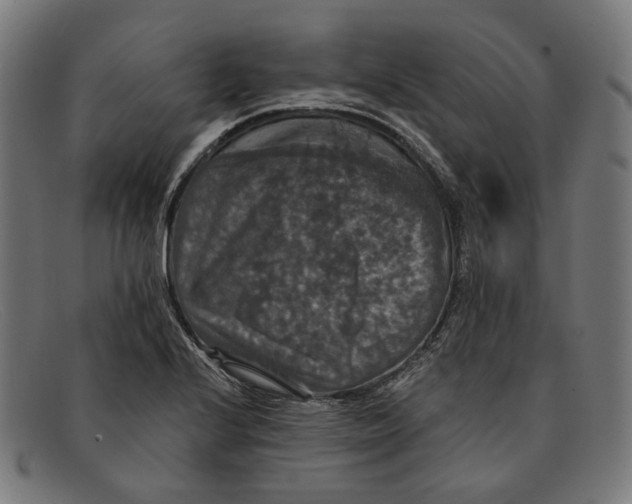 X0000091461224200709131727