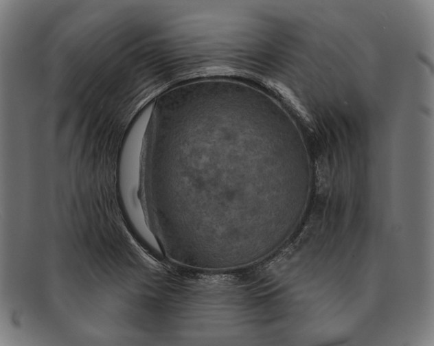 X0000091461225200709131727
