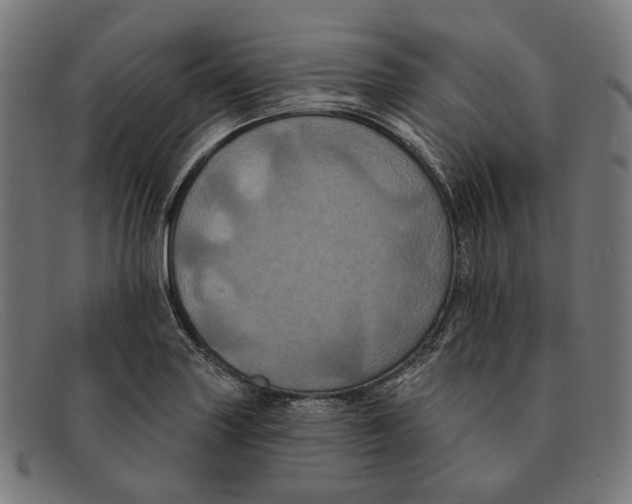 X0000091461227200709131727