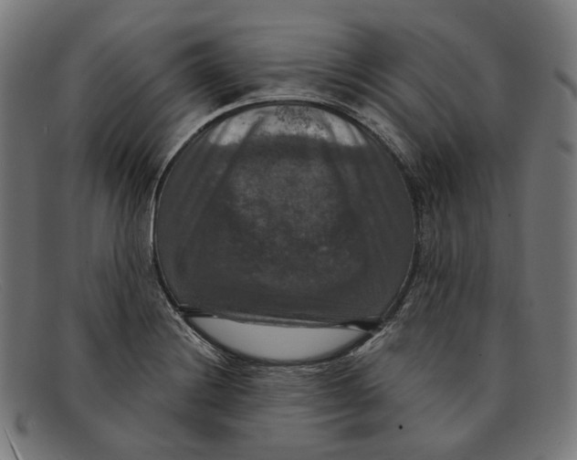 X0000091461228200709131727